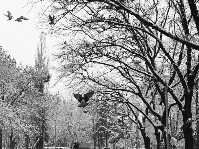 Kurtuluş Parkı