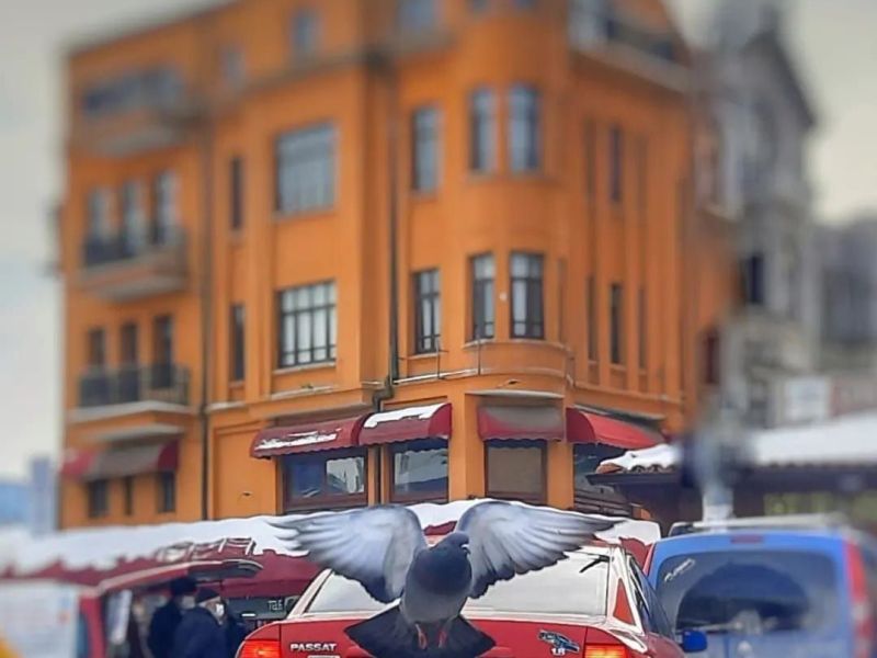 ULUS ÇARŞISI
